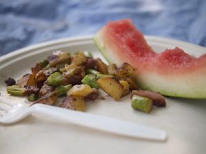 Summer Picnic in York County