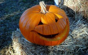 Pumpkin in York County, PA
