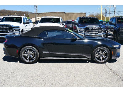 2025 Ford Mustang EcoBoost Premium