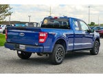 2023 Ford F-150 XL STX