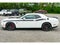 2020 Dodge Challenger T/A R/T Scat Pack Shaker