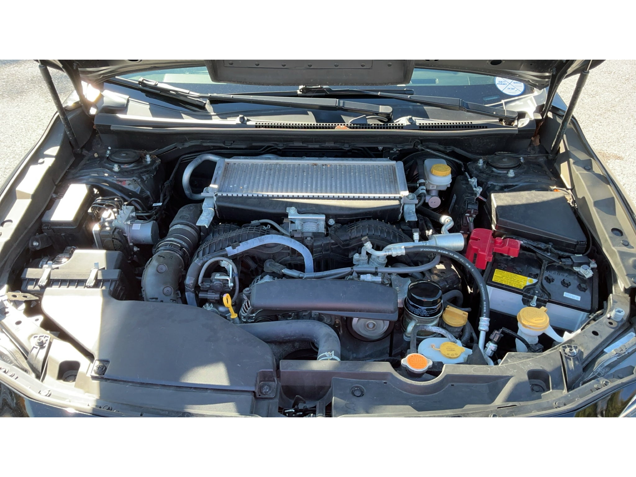 2024 Subaru WRX Premium